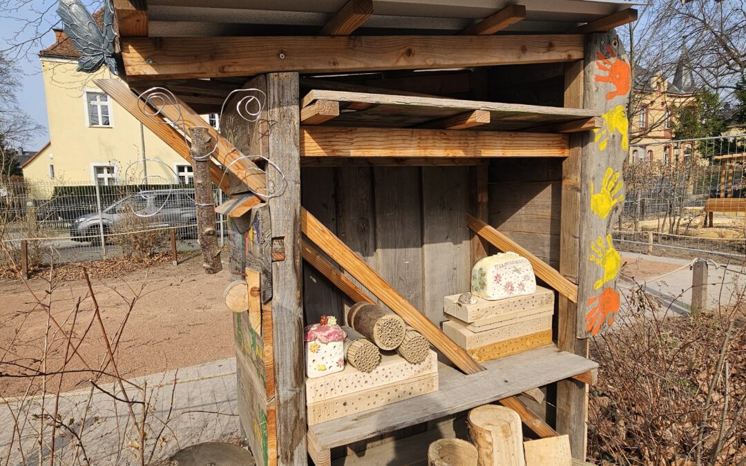 Zimmer frei für Wildbienen